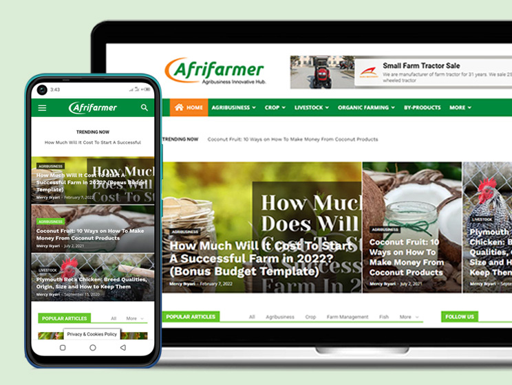 Afrifarmer website