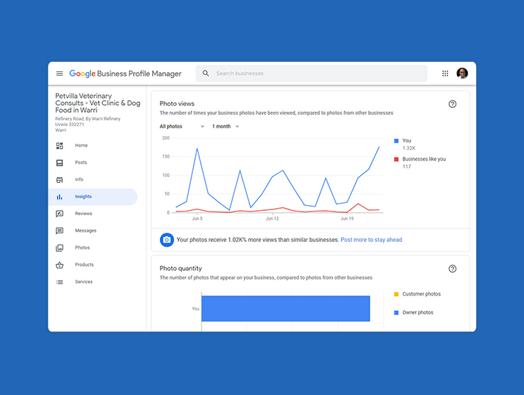 Petvilla Veterinary Consults Google Business Profile insight