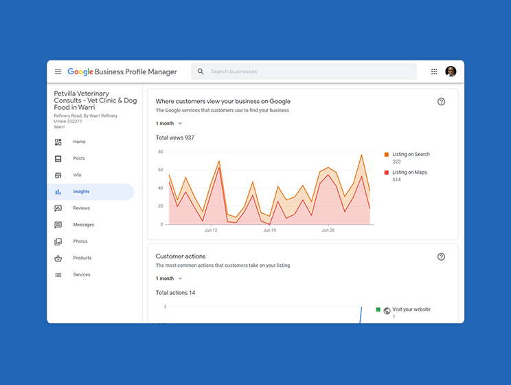 Petvilla Google Business Profile insight